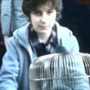 harry